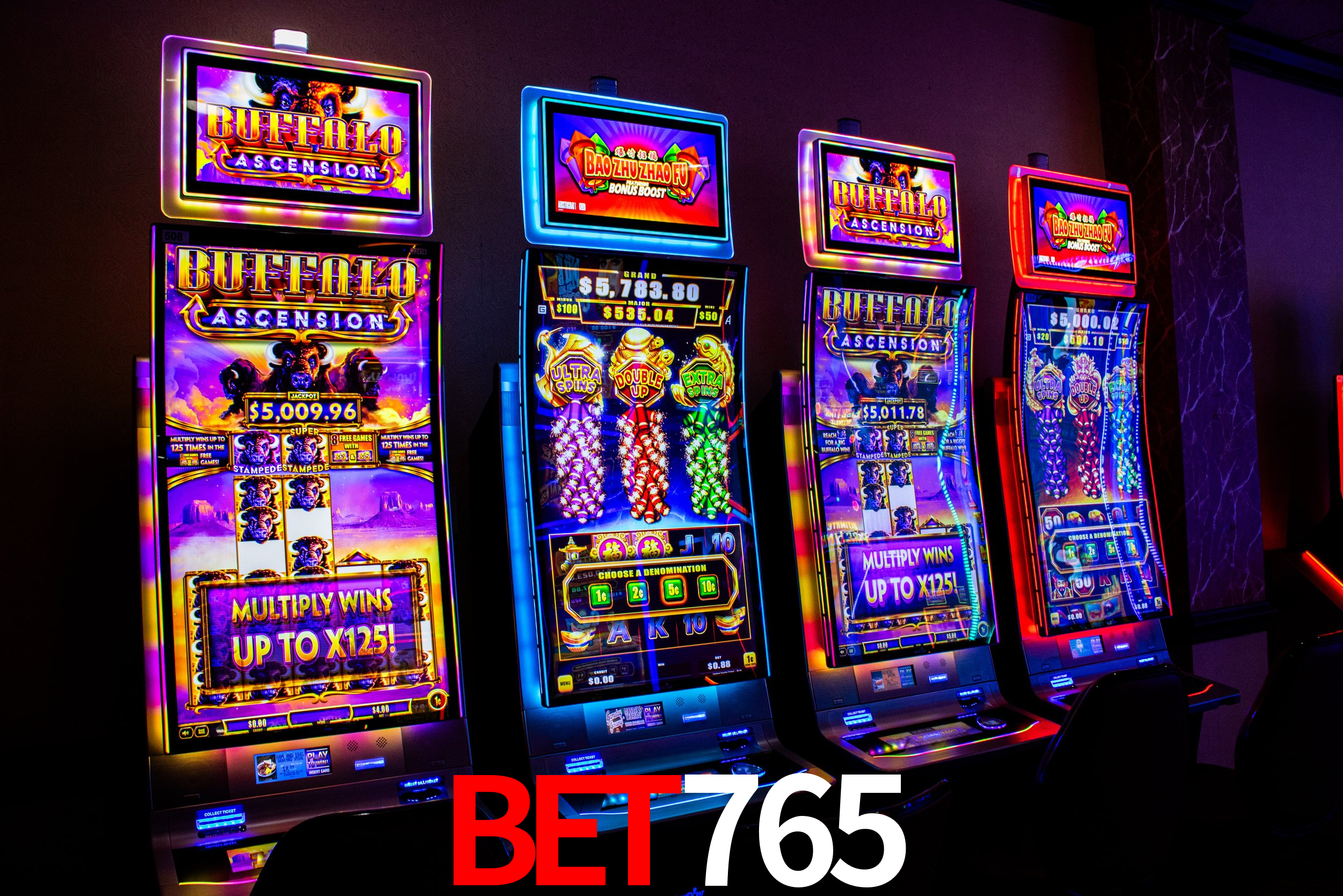 Statistics bet765